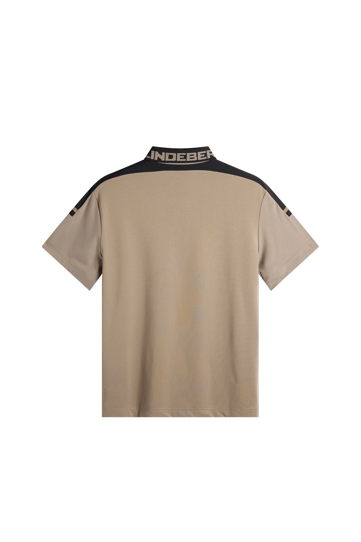 Bo Polo / Brindle - Image 2