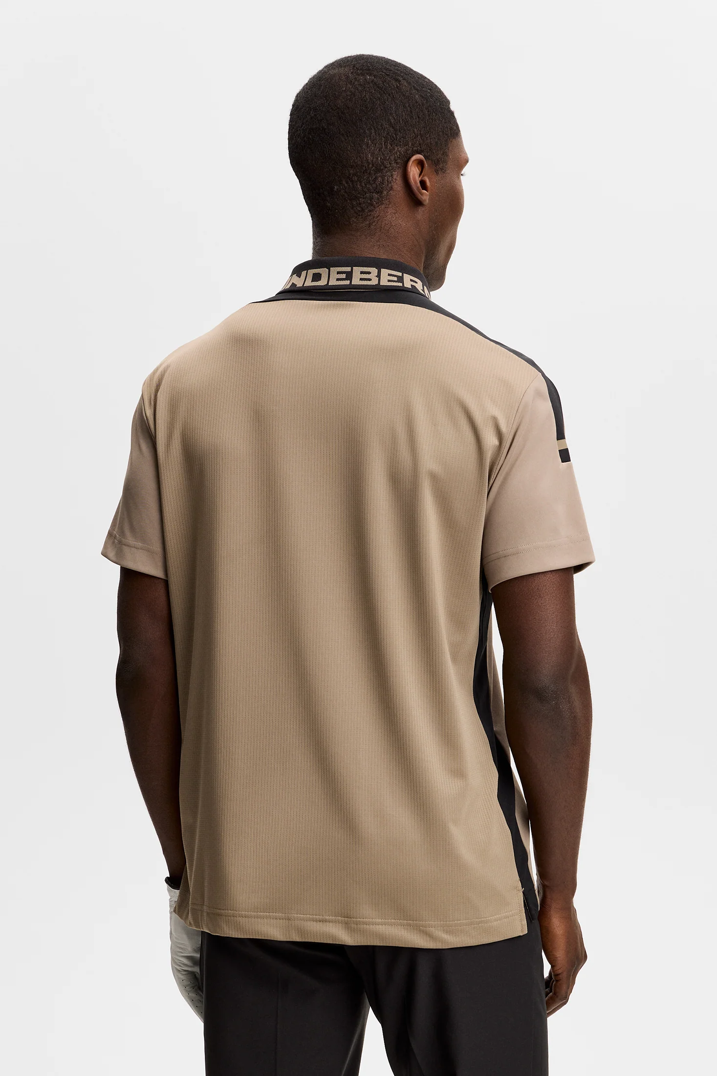 Bo Polo / Brindle - Image 4