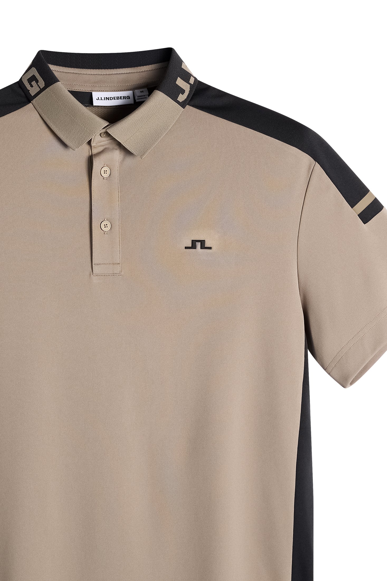Bo Polo / Brindle - Image 7