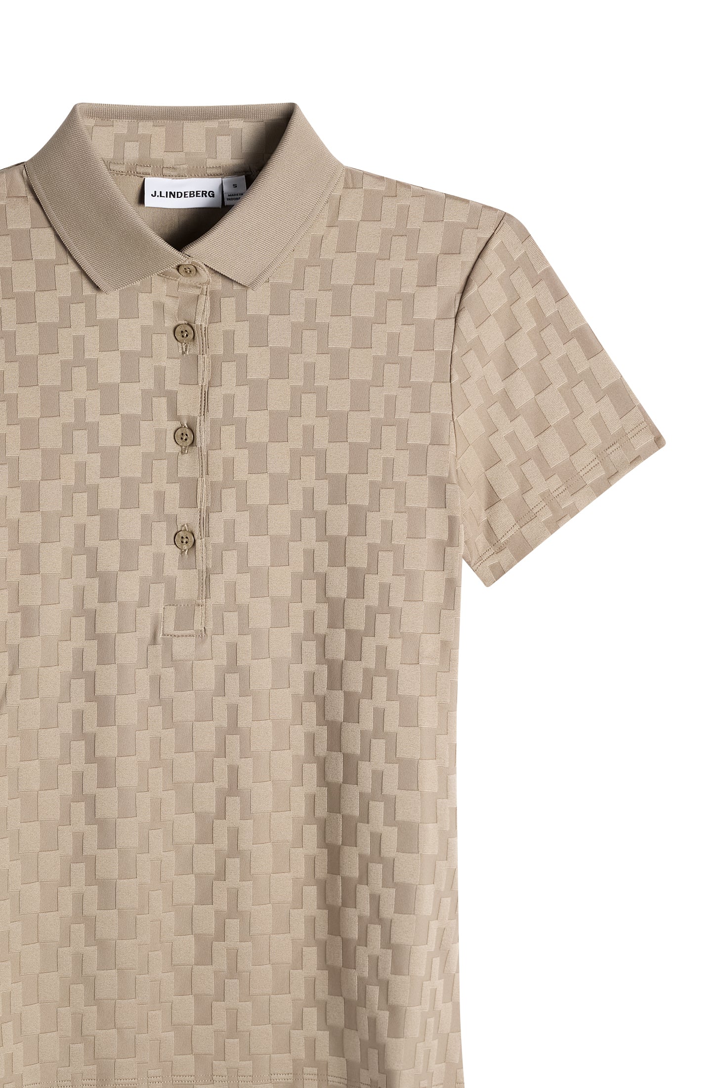 Dani Polo / Brindle - Image 6