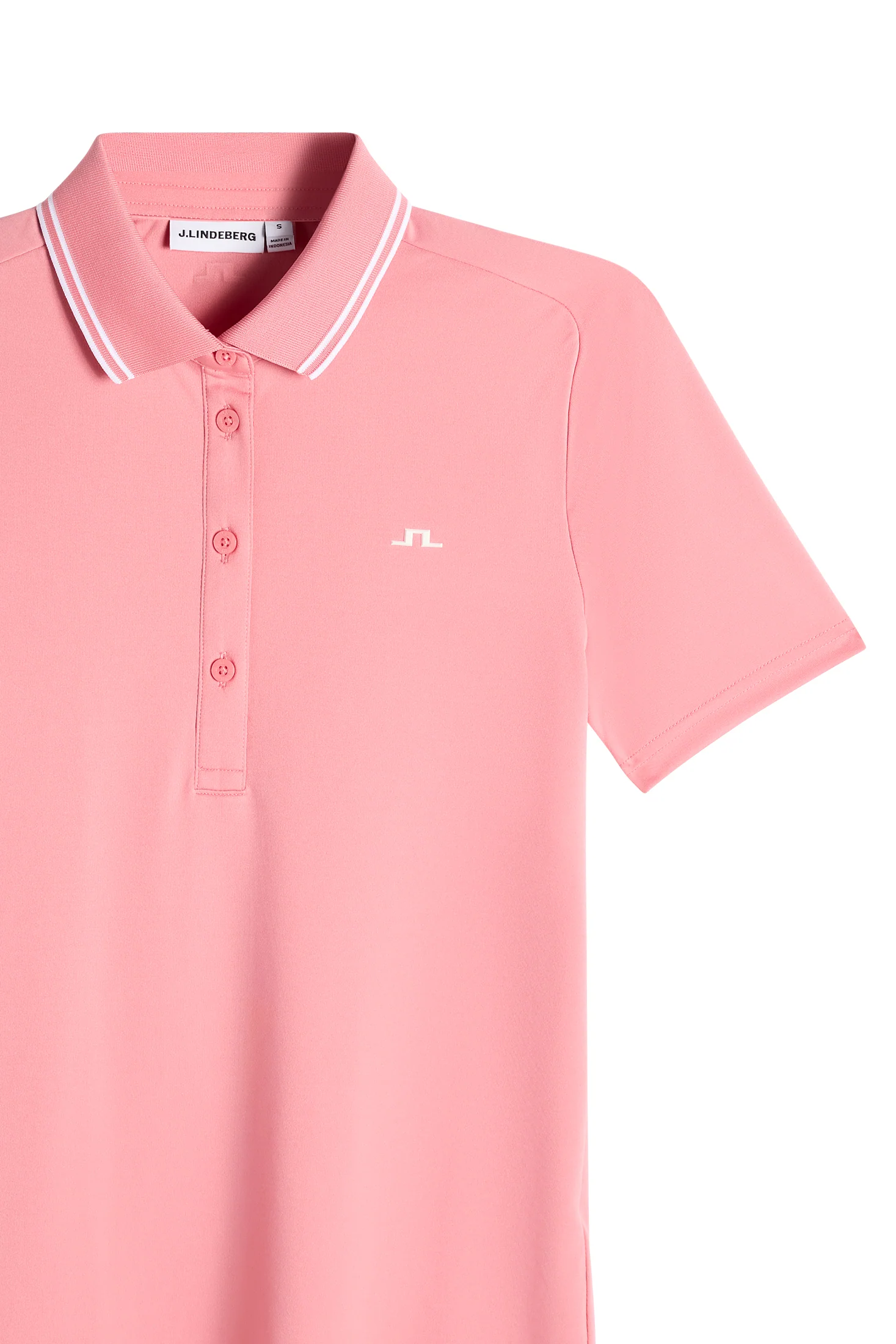 Gunilla Polo / Flamingo Plume - Image 6