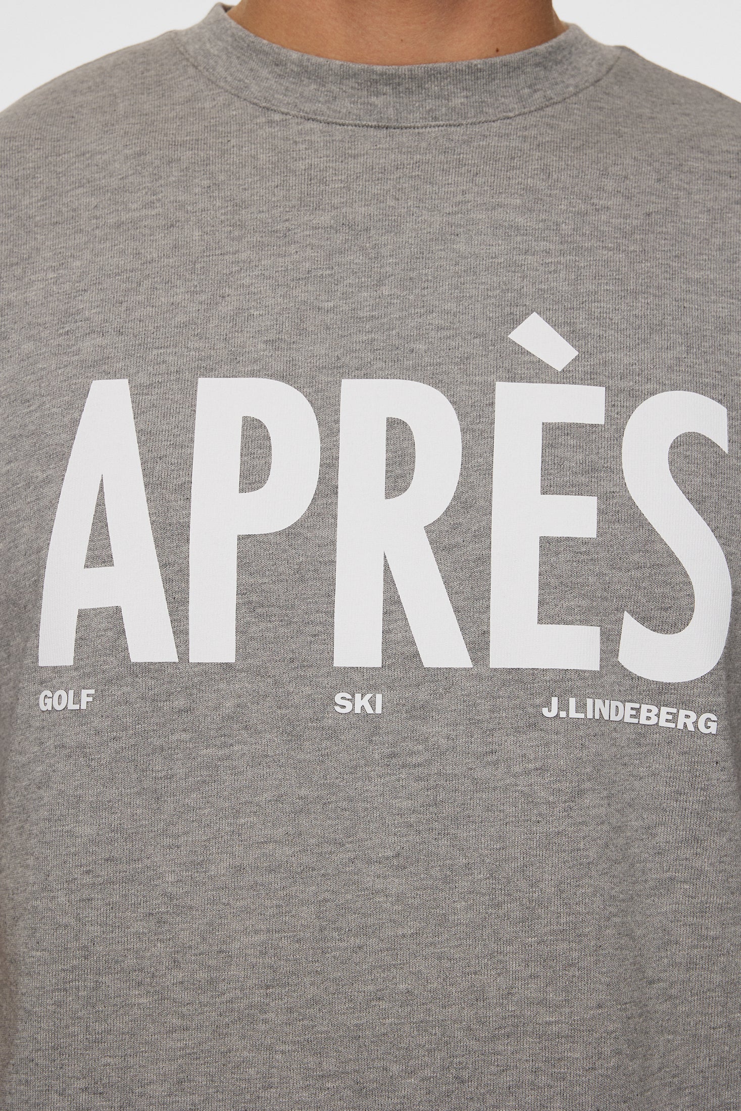 Hale Seasonal Logo T-shirt / Medium Grey Melange - Image 6