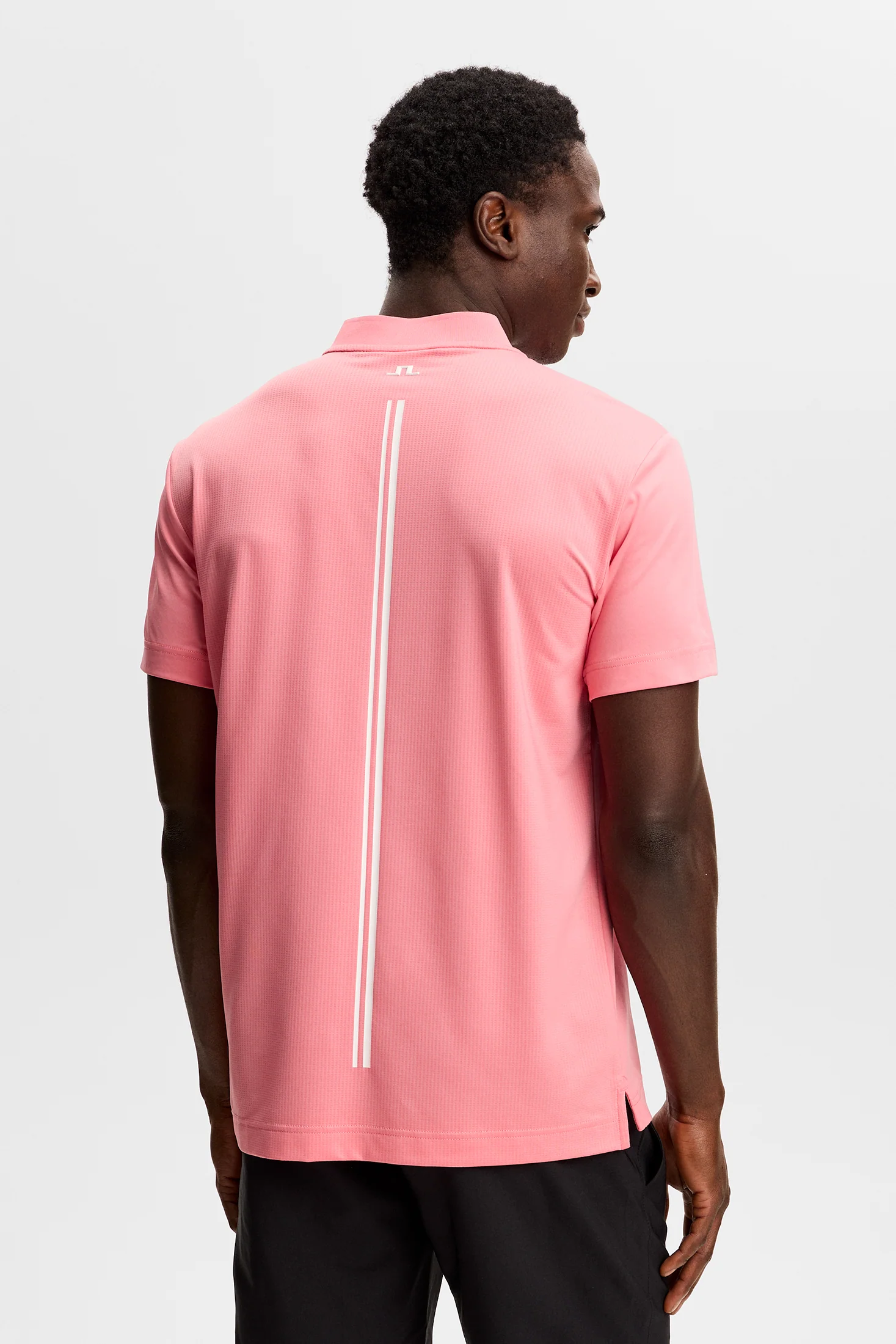 Josh Polo / Flamingo Plume - Image 4