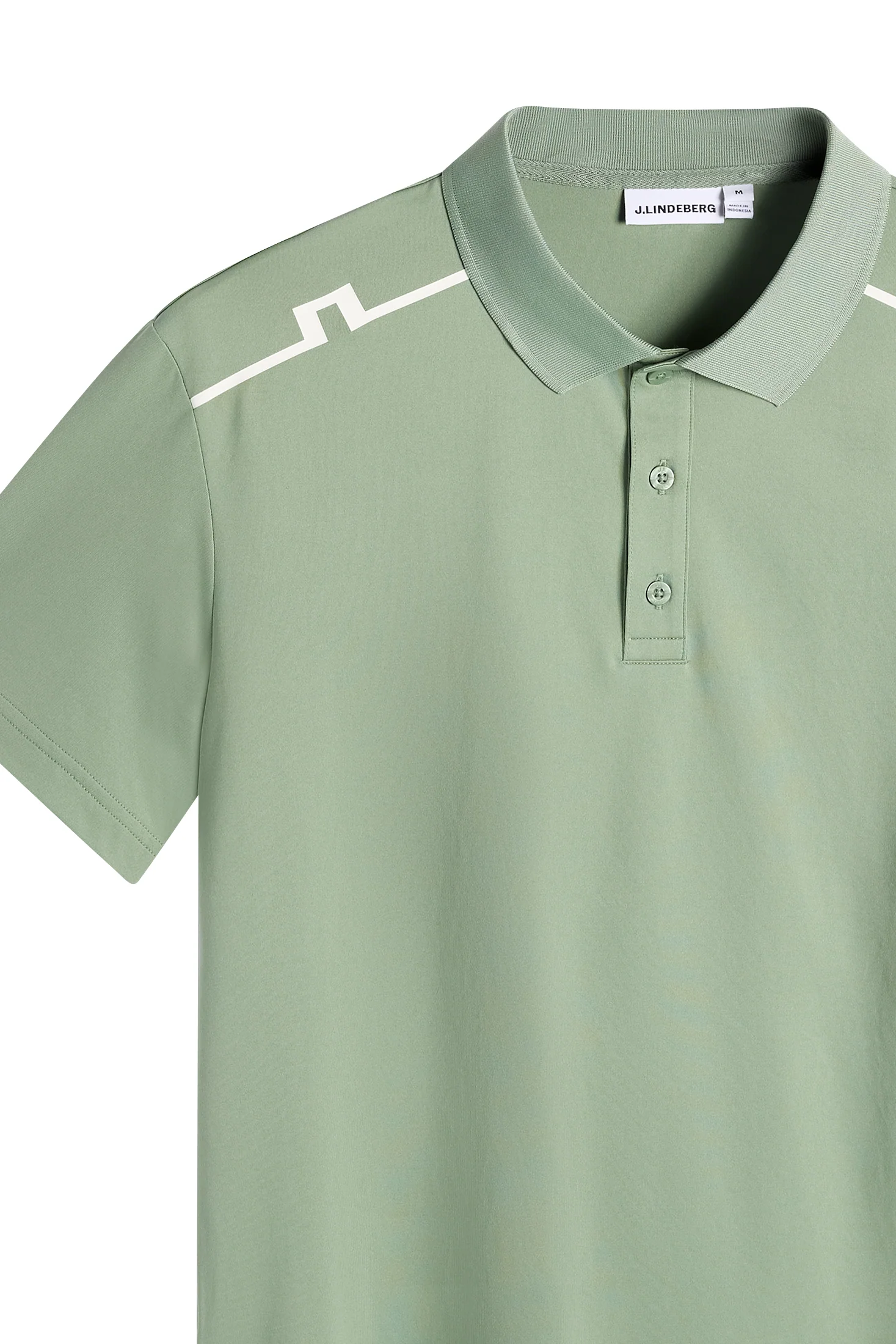 Lionel Polo / Hedge Green - Image 2